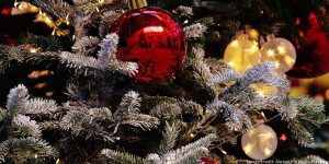 How to Make Your Guests Feel Welcomed This Christmas