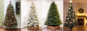 Pre-order your Christmas Tree now to save up to 60%