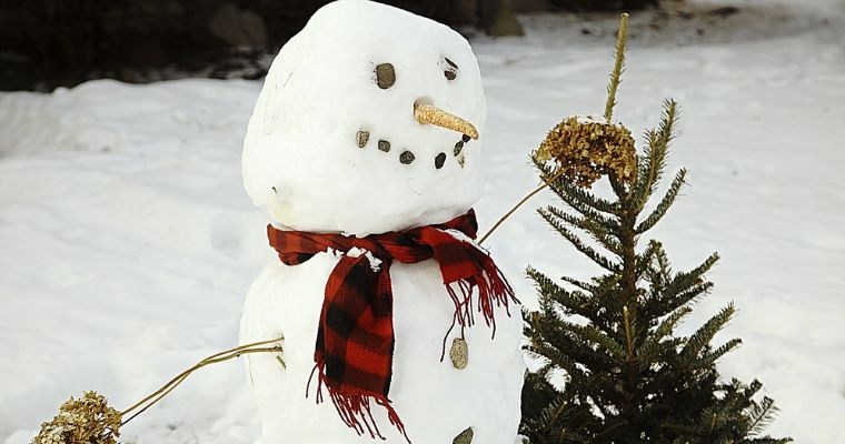 Best Snowman Jokes