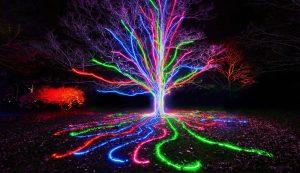 Tickets now on sale for Christmas at Stourhead 2023
