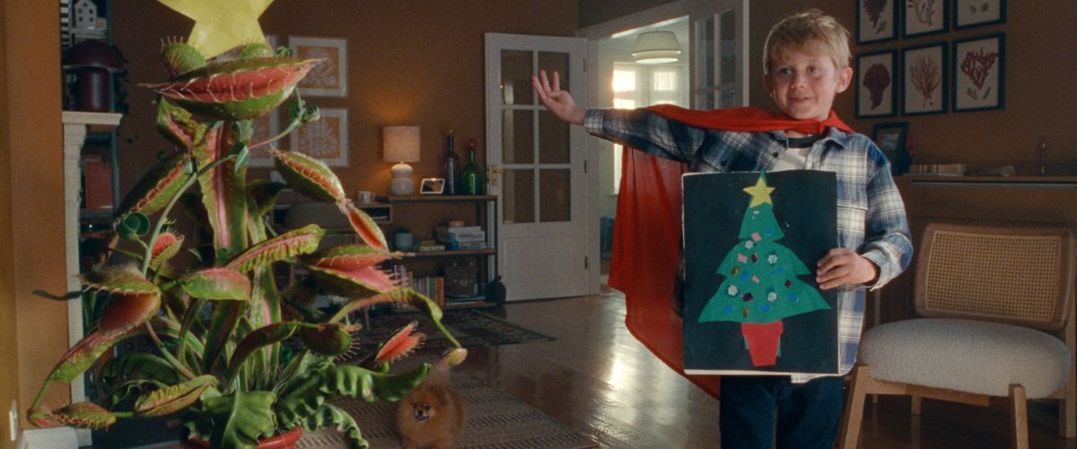 John Lewis Snapper The Perfect Christmas Tree Christmas Advert 2023