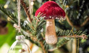 Dobbies Woodland Mushroom Bauble