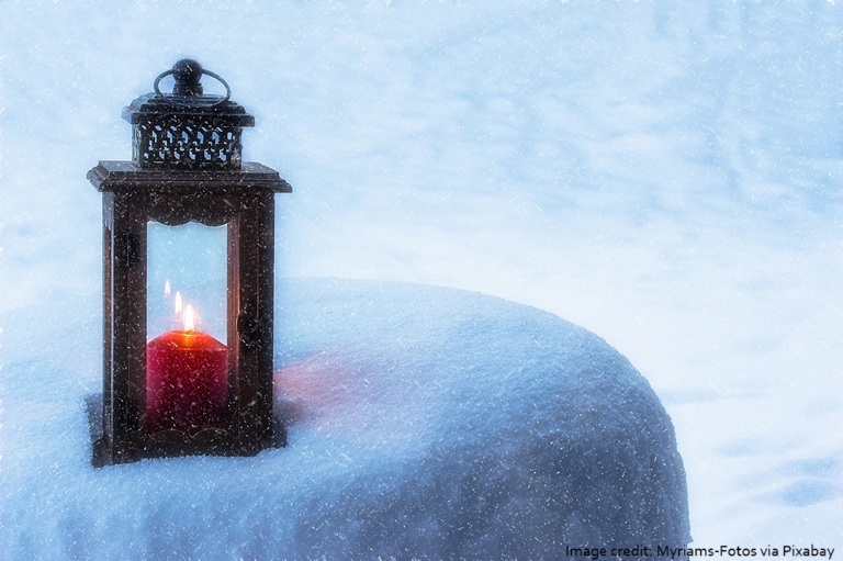 How Your Garden Can Add an Extra Magical Touch to Your Christmas