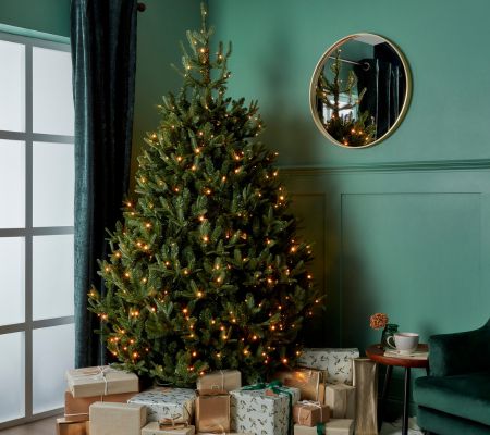 B&Q 7ft Full Fraser Fir Warm white LED Hinged Pre-lit Artificial Christmas tree £190