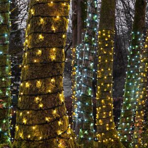 Reviewing Festive-Lights: Top Picks for 2025